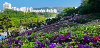 군포 가볼만한곳 베스트10 현지인 추천 필수코스_2