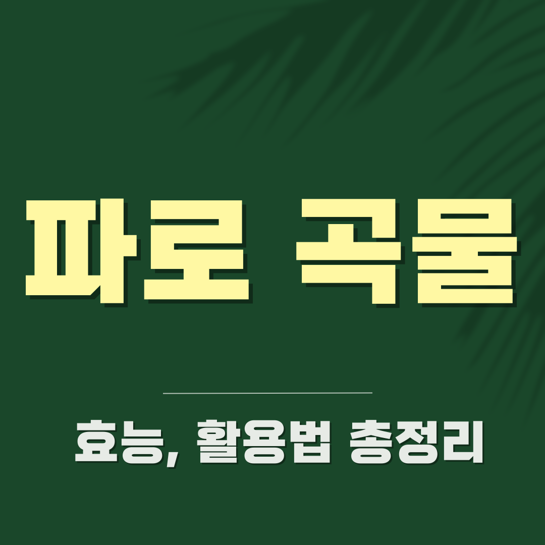 파로 곡물 가격 효능 먹는법 부작용