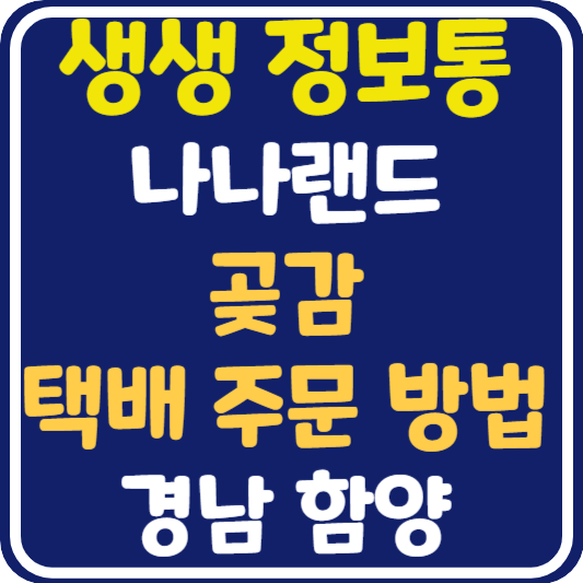 생생 정보통 함양 곶감 택배 주문 방법 : 나나랜드