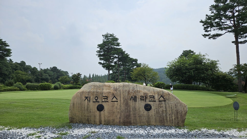 골프장 경험담 여주 세라지오CC 자연 속에서 즐기는 프리미엄 퍼블릭 골프장의 품격