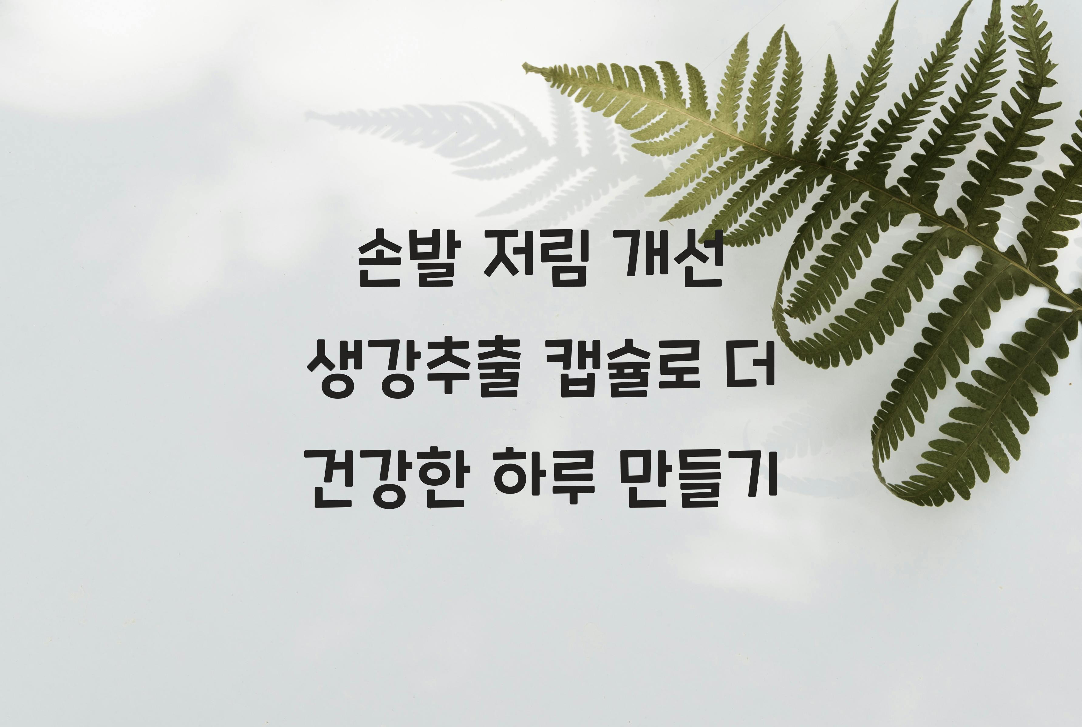 손발 저림 개선 생강추출 캡슐