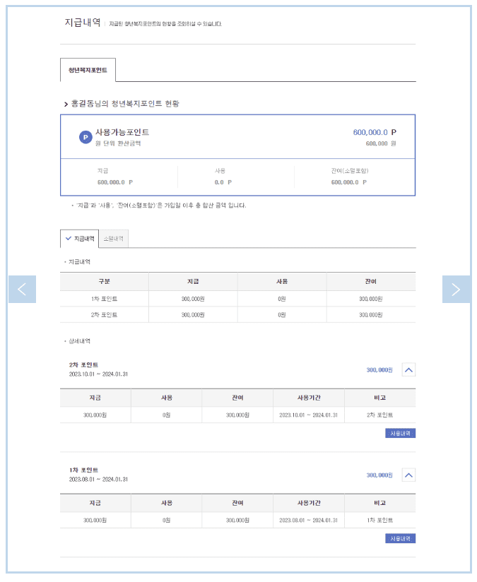 청년복지포인트