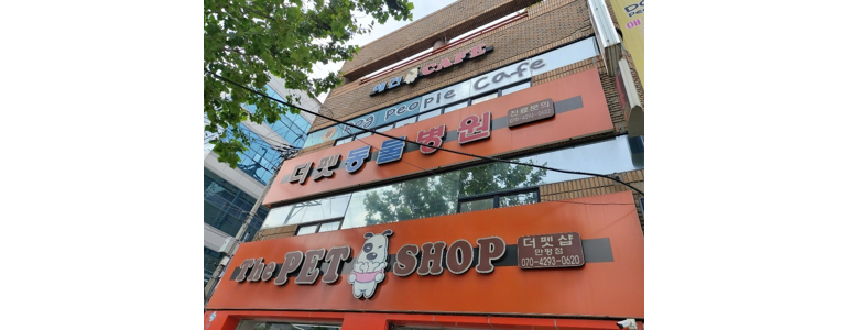 대구 서구 동물병원