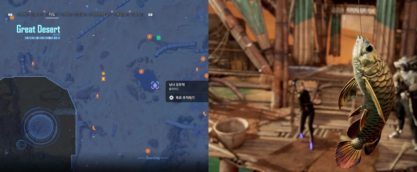 대사막 오아시스