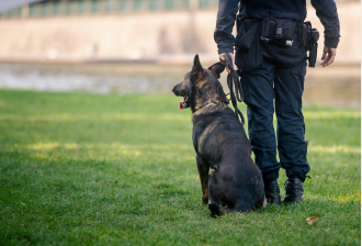경찰 사건번호 조회