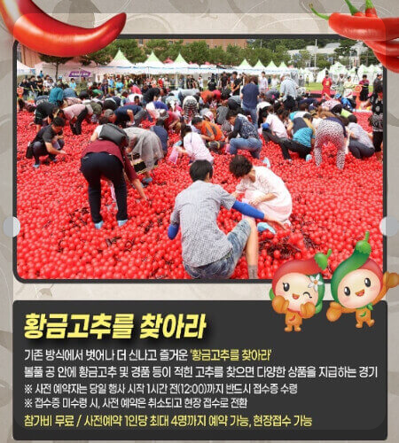 괴산 고추축제 황금고추를 찾아라