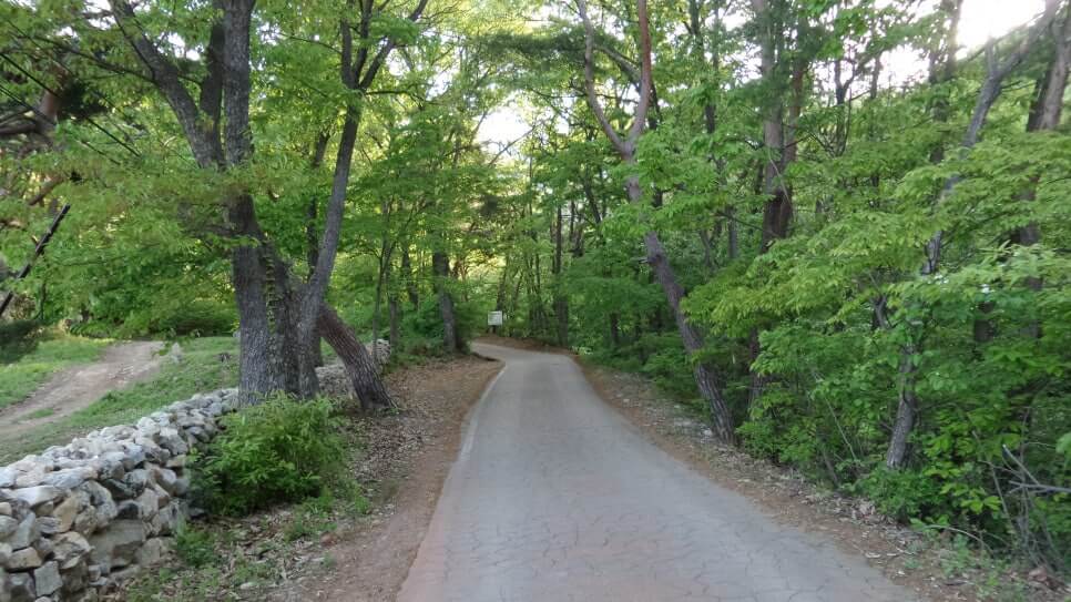 100대 명산 등산하기 서른일곱번째 공주 계룡산 신비와 전설의 봉우리 20여 개 봉우리 계곡 고찰이 어우러진 명산