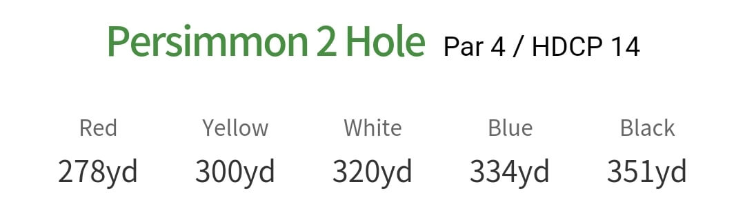 솔모로 컨트리클럽 퍼시몬코스 2