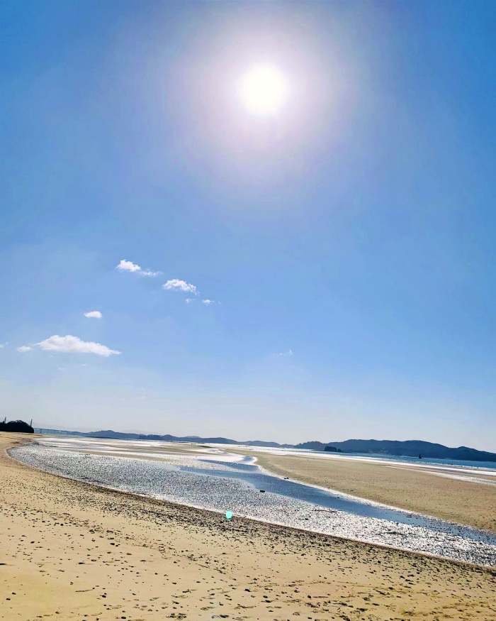 생생정보 조회 수 75만 뷰 은퇴 부부의 해루질 낮루질 촬영 도전기 영상