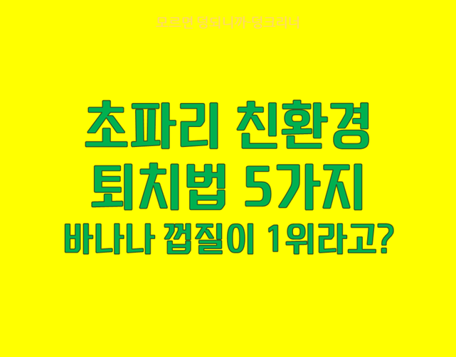 초파리 퇴치법