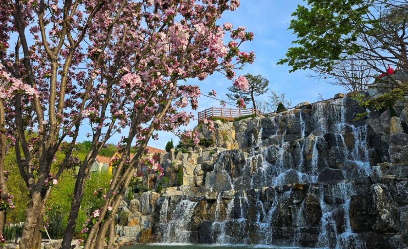 용인 자작나무숲 봄꽃축제