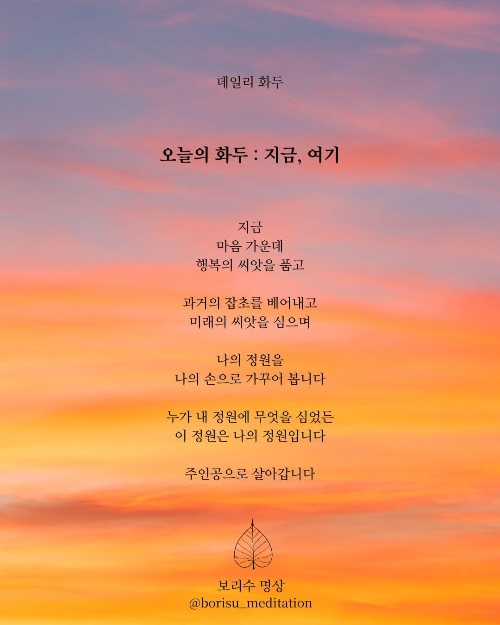 환희지의 보리수 명상 : Day 19 화두 : 지금, 여기