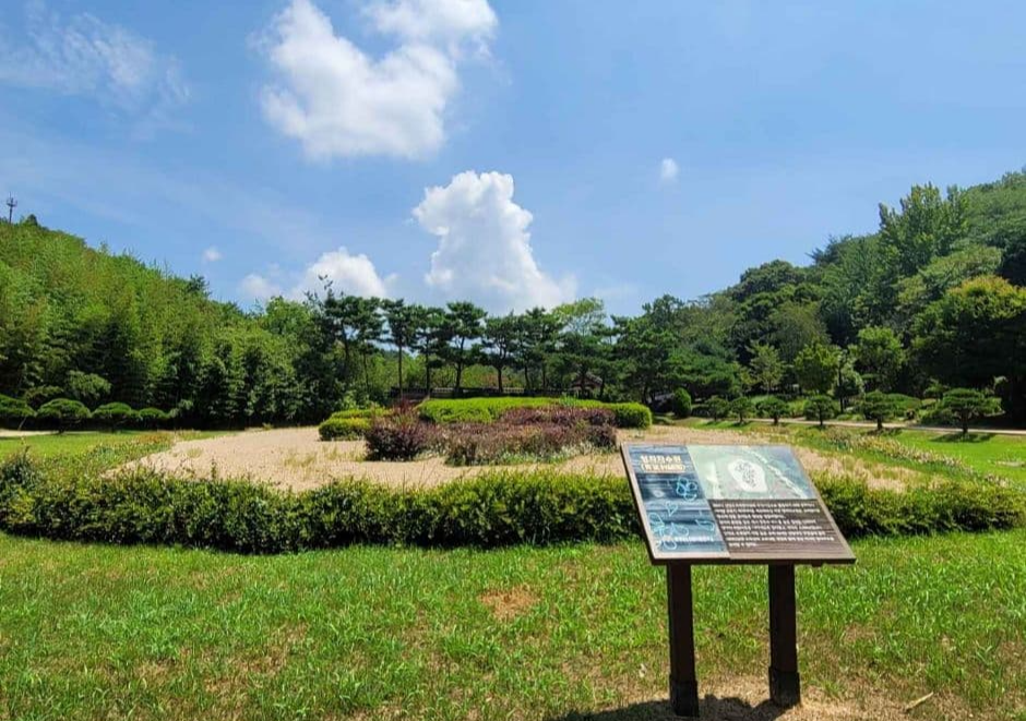 충남 태안 봄 여행지 BEST 3｜천리포수목원 목련(봄꽃)축제 주변 여행지