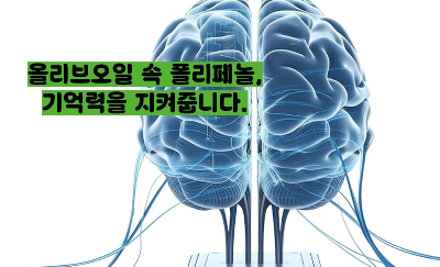 올리브오일 효능