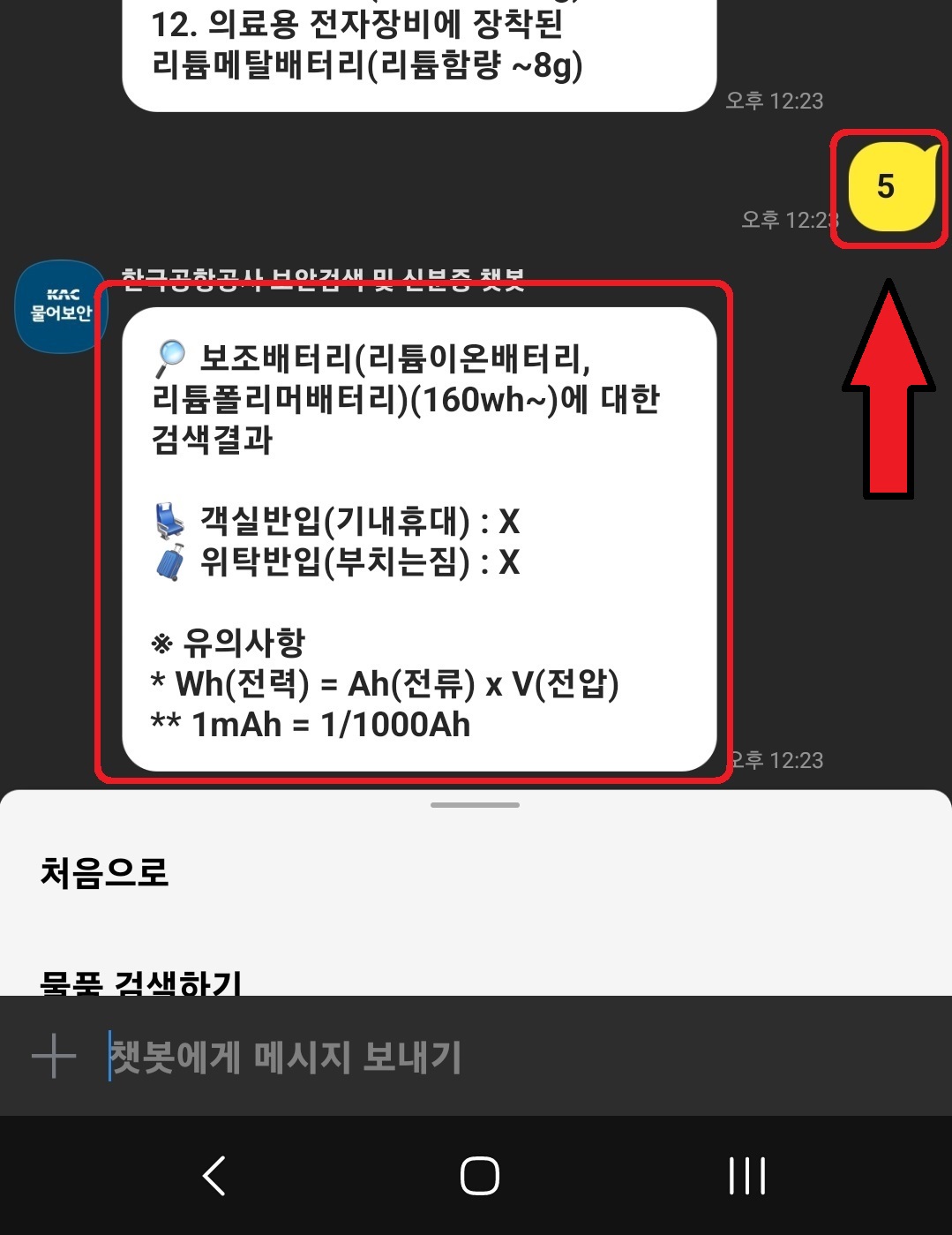 카카오톡으로 비행기 기내 반입 가능 물품을 간단하게 확인하는 방법 8