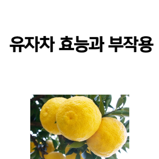 유자차 효능과 부작용