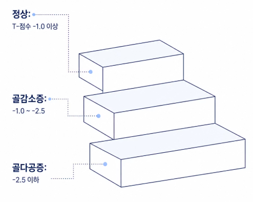 골다공증 수치