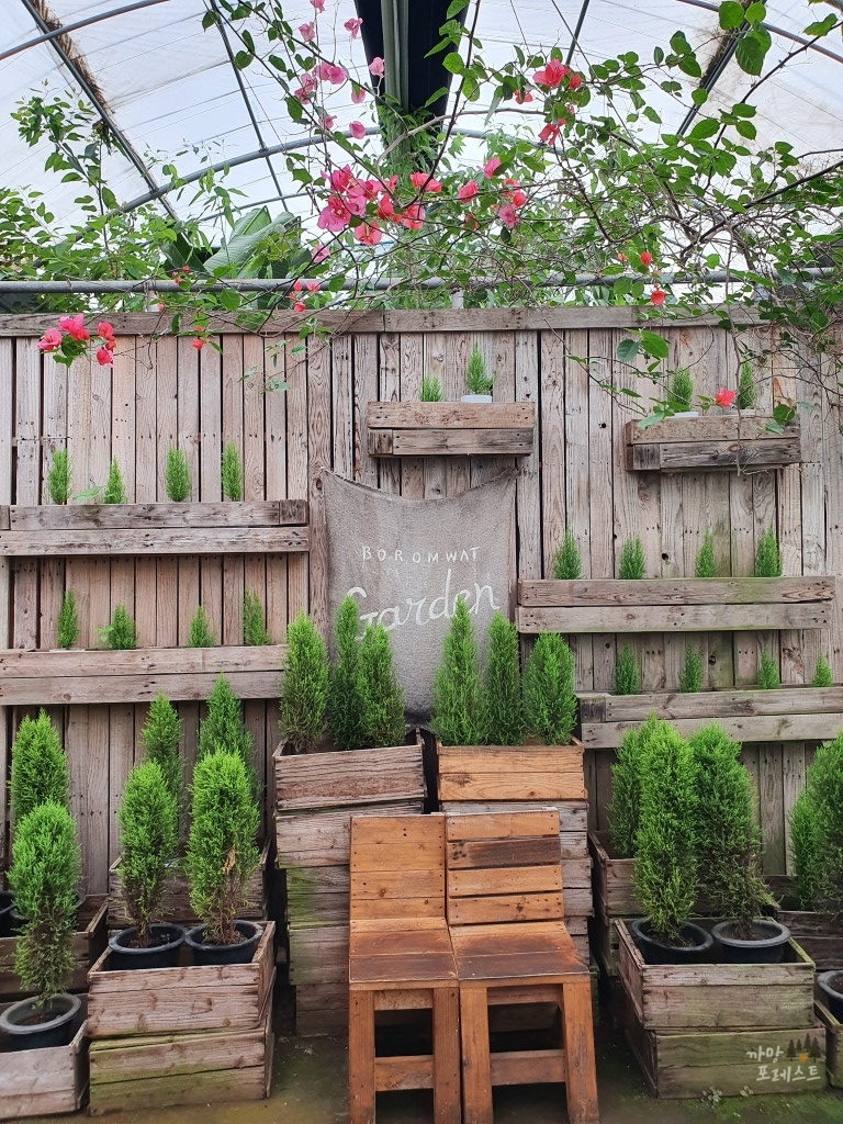 표선 보롬왓 실내 포토존