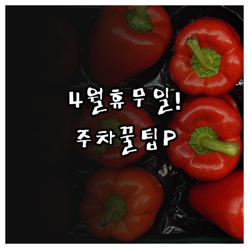 2026년 4월 홈플러스 파주문산점 ..