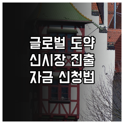 글로벌 도약 기회, 2025년 신시장..