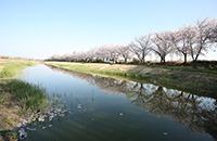 시흥 갯골생태공원 취사존 예약