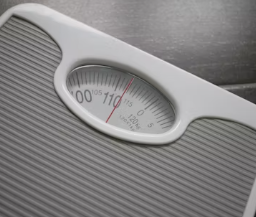 비만에 좋은 음식 영양제 식단