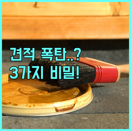 2024년 신축 아파트 도배 견적: ..