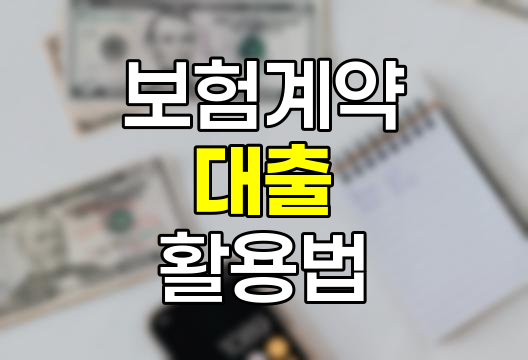 보험계약대출의 실체와 활용법