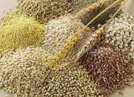 주요 비타민의 종류와 각각의 효능(역할)과 부족시 현상 그리고 부작용