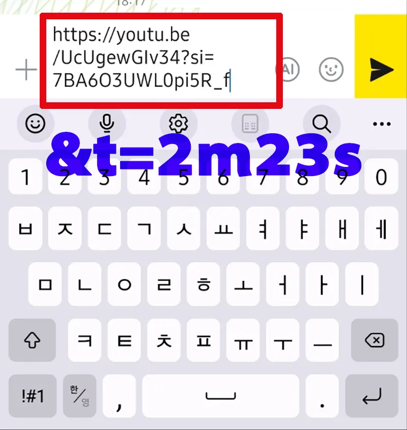 링크-주소-뒤-&t=특정시간-입력