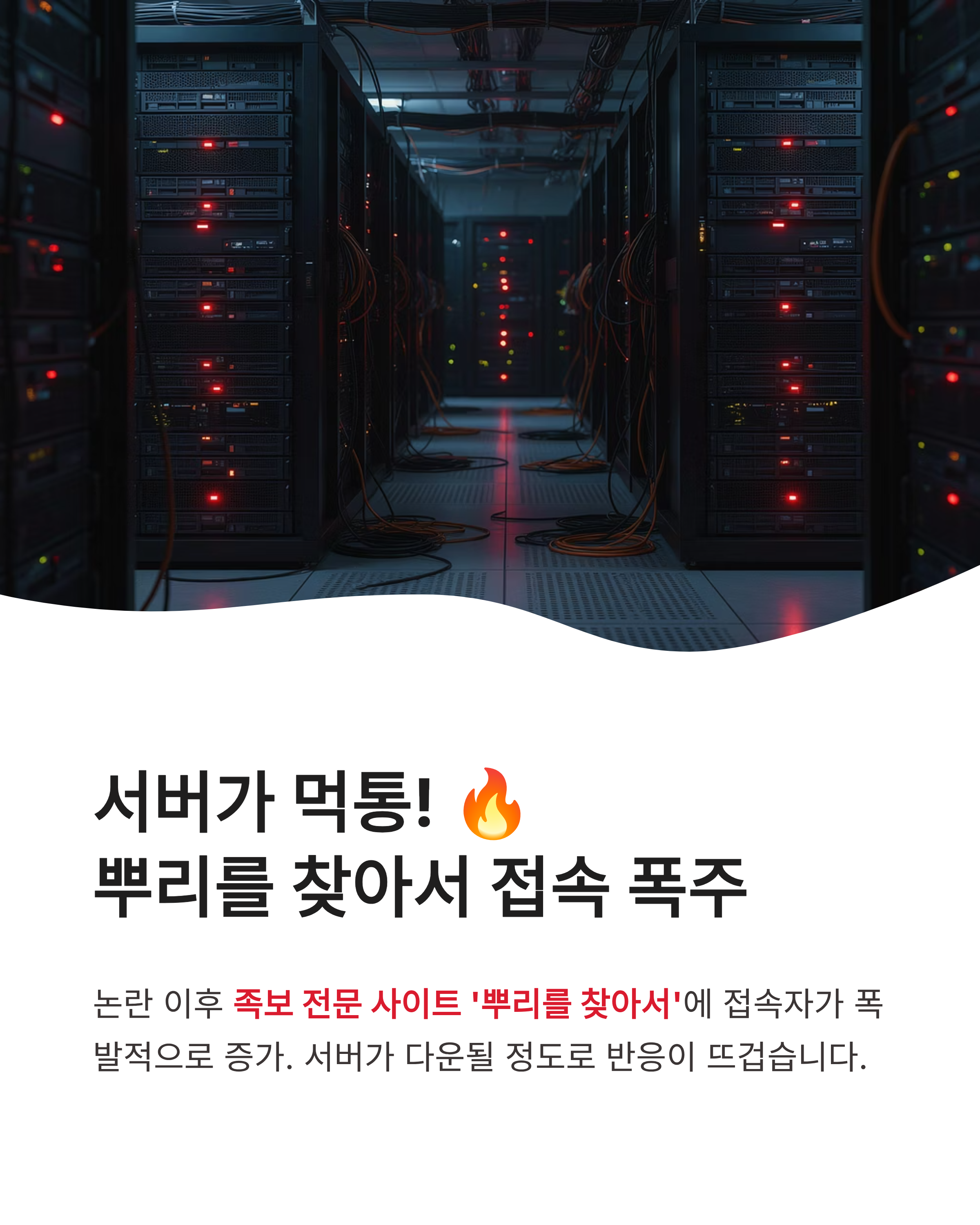 뿌리를 찾아서 사이트 접속 폭주하는 이유와 내 본관 찾는 법