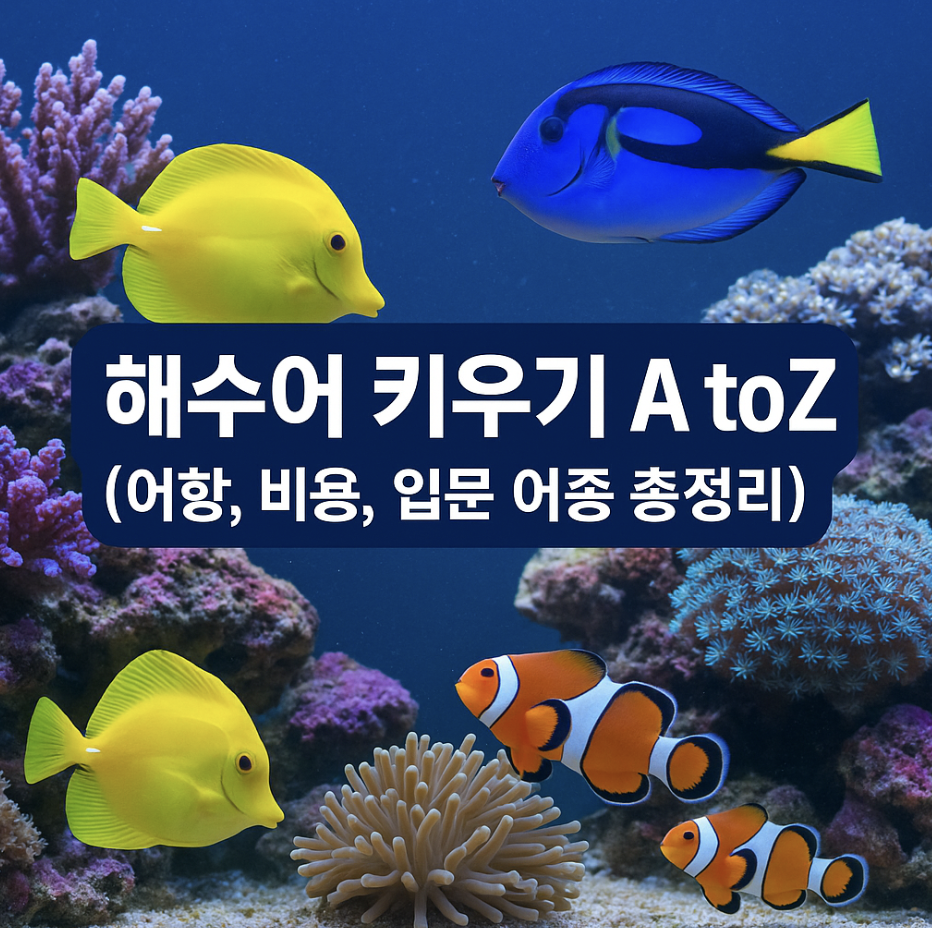 해수어 키우기 A to Z (어항, 비용, 입문 어종 총정리)