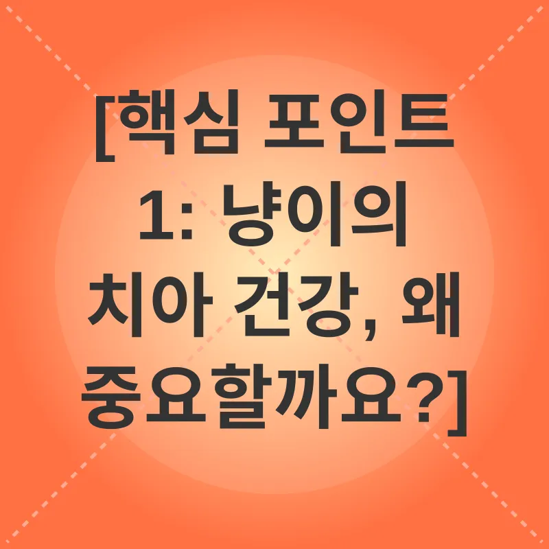 고양이 치아 관리_1