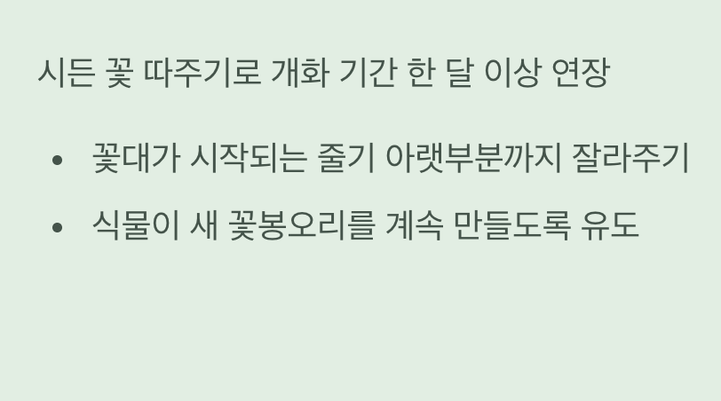 더 많은 꽃을 위한 마법, 데드헤딩