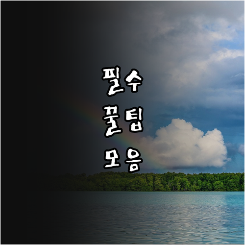 구미시 청년 부부 주목 2025년 결..