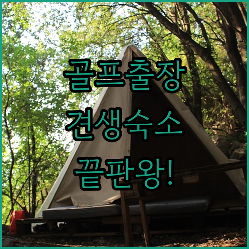 이천 월드클래식부터 충주 펫트리파크까..