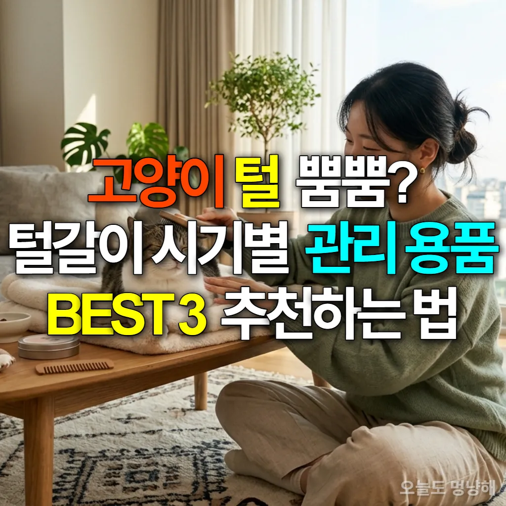 털갈이 시기, 한 젊은 한국 여성이 햇살이 드는 거실에서 고양이를 부드럽게 빗겨주고 있는 모습