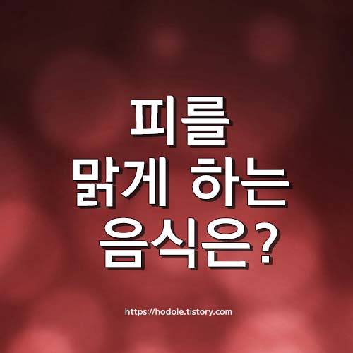 피를-맑게-하는-음식