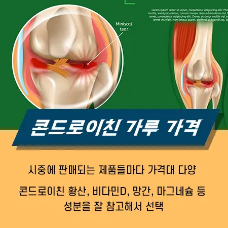 콘드로이친 부작용
