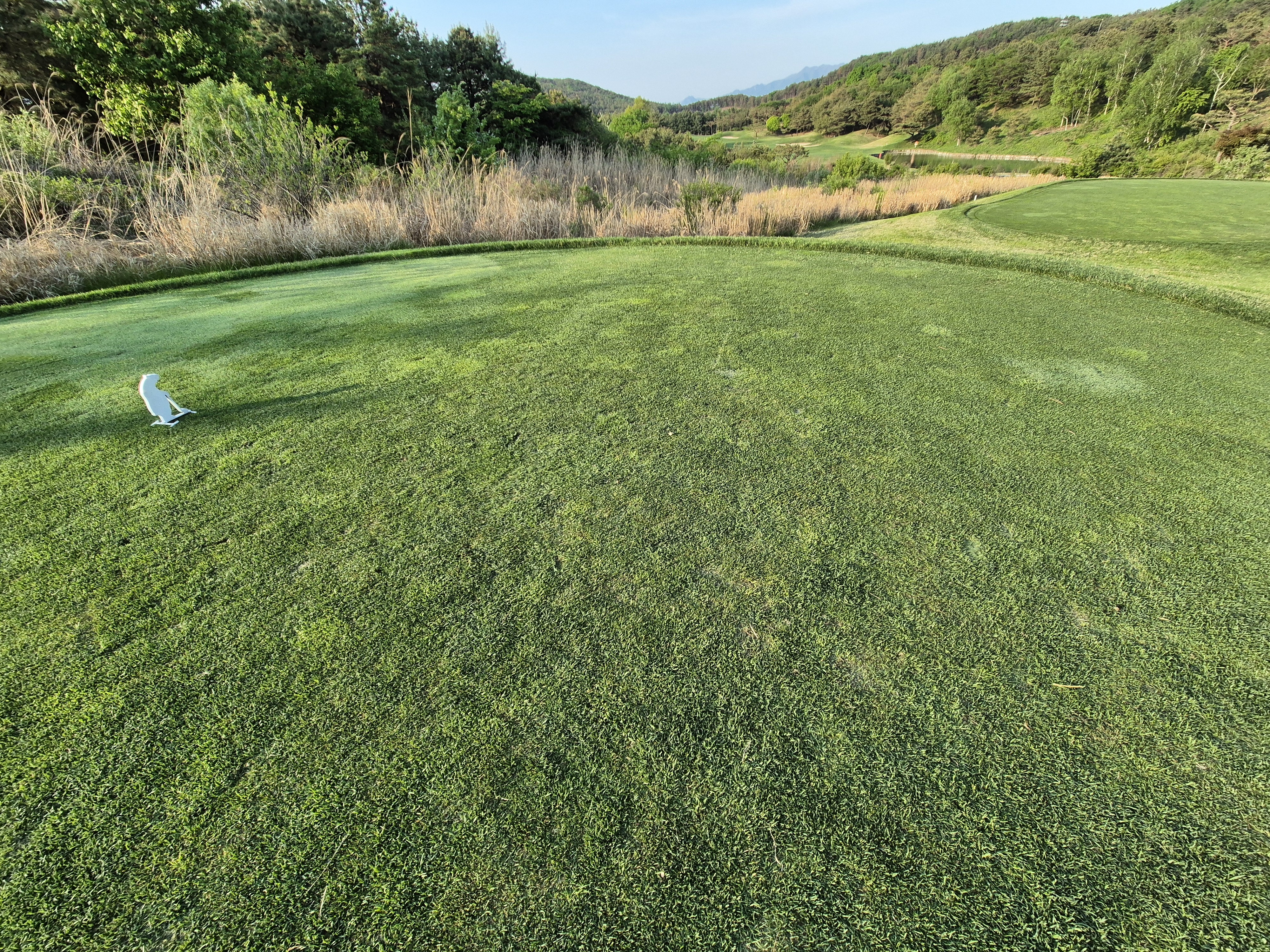 베어크리크cc 크리크코스