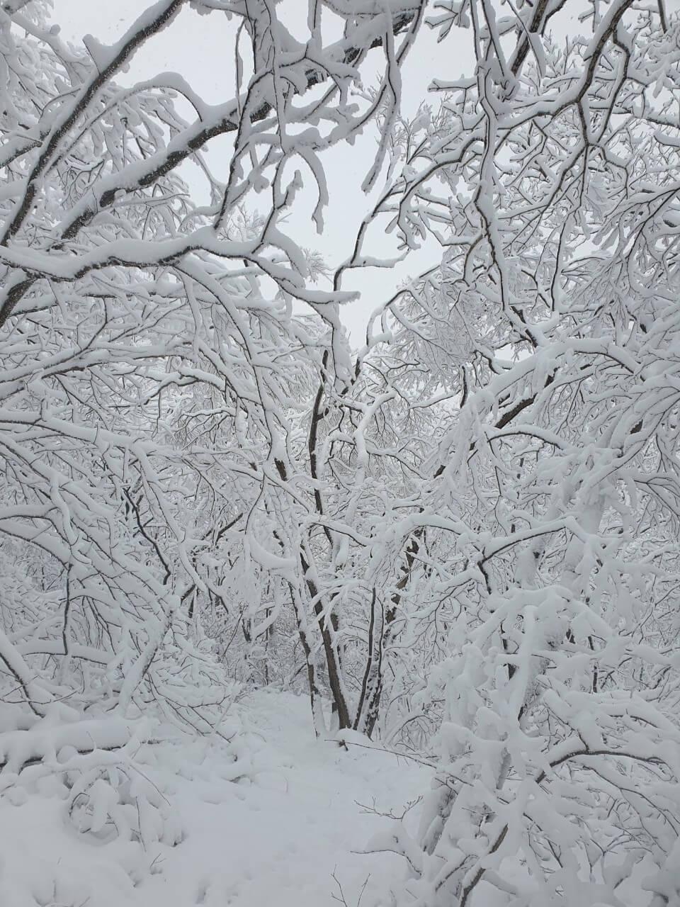겨울 여행 눈꽃 산행지