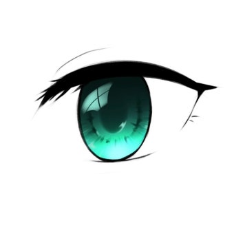 눈