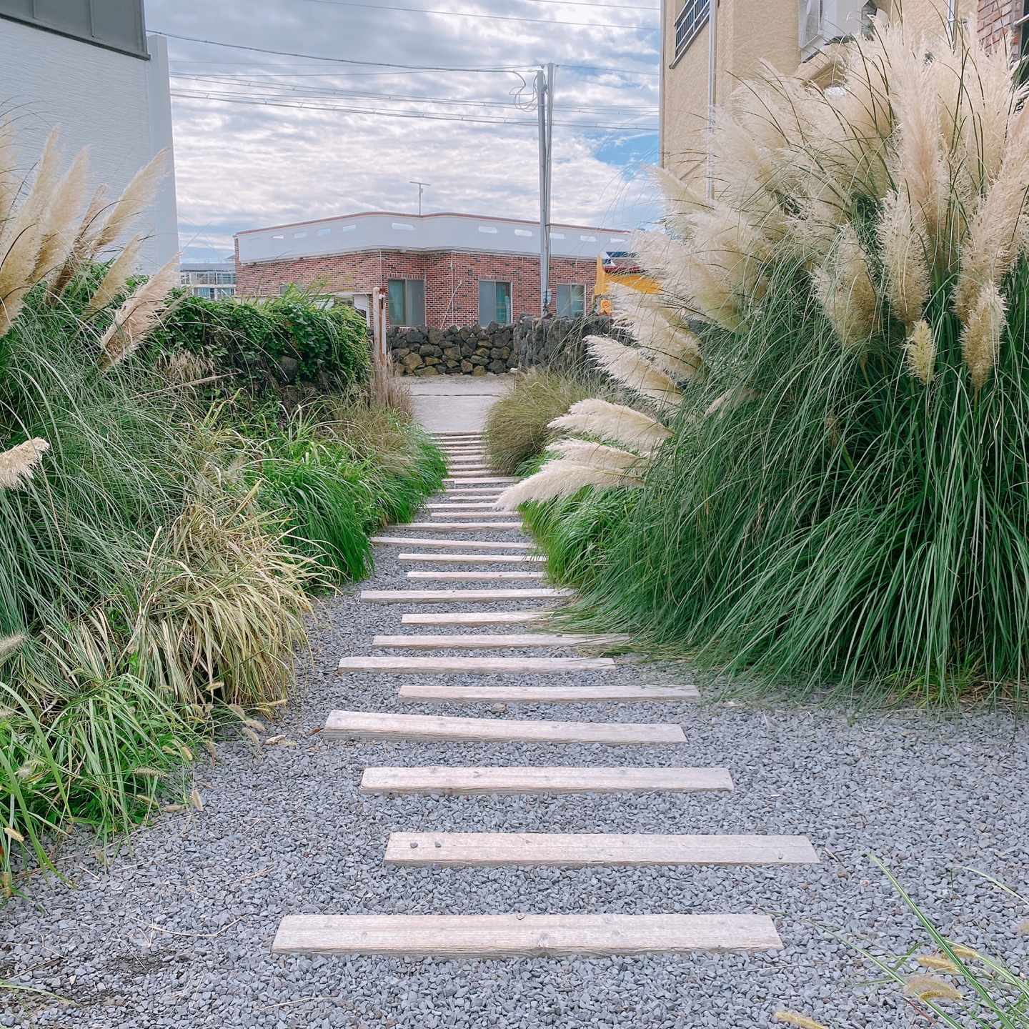 제주 한림 금능 제주구옥 주택개조 카페 잔물결