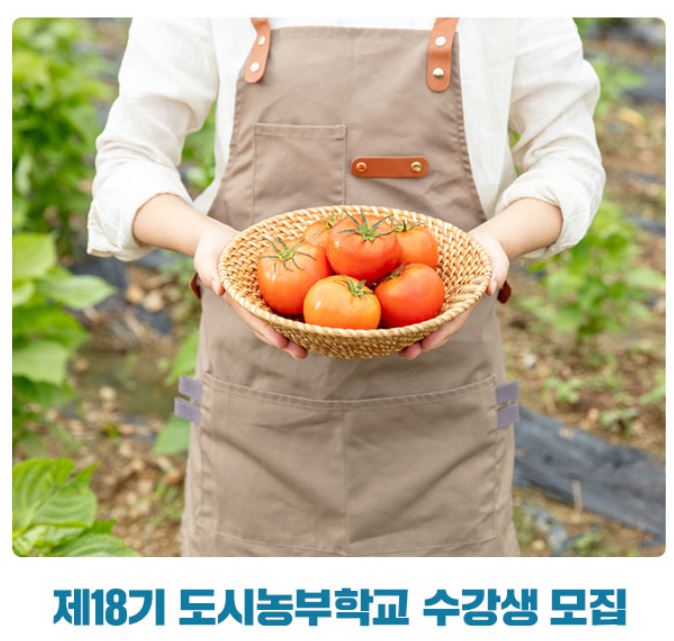 도시농부학교 비용
