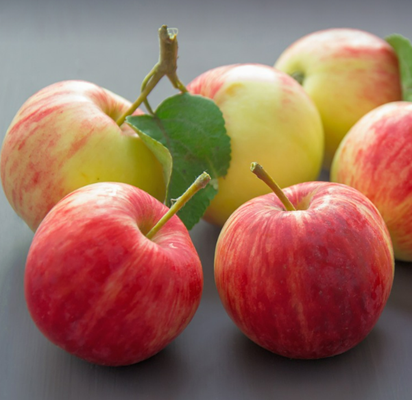 사과 보관법 비교 - 냉장 vs 실온 vs 냉동