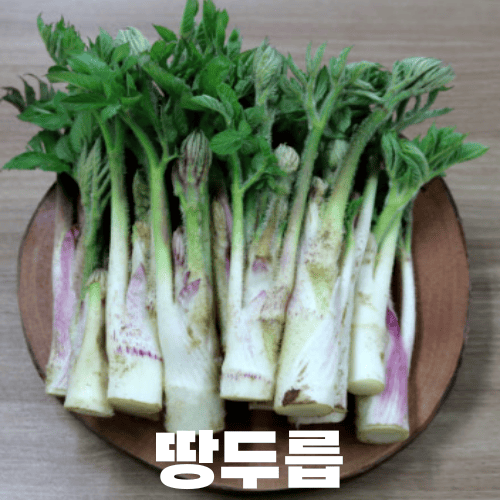 땅두릅