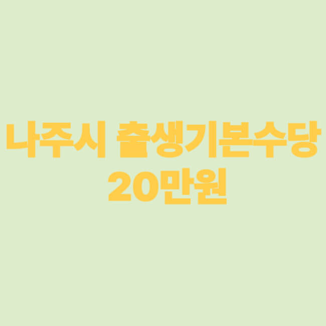 나주시 출생기본수당 20만원