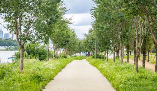 한강 산책로 BEST 5 추천