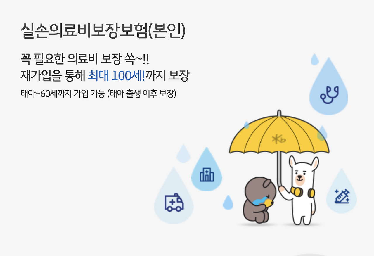 KB 실손의료비보험(본인)