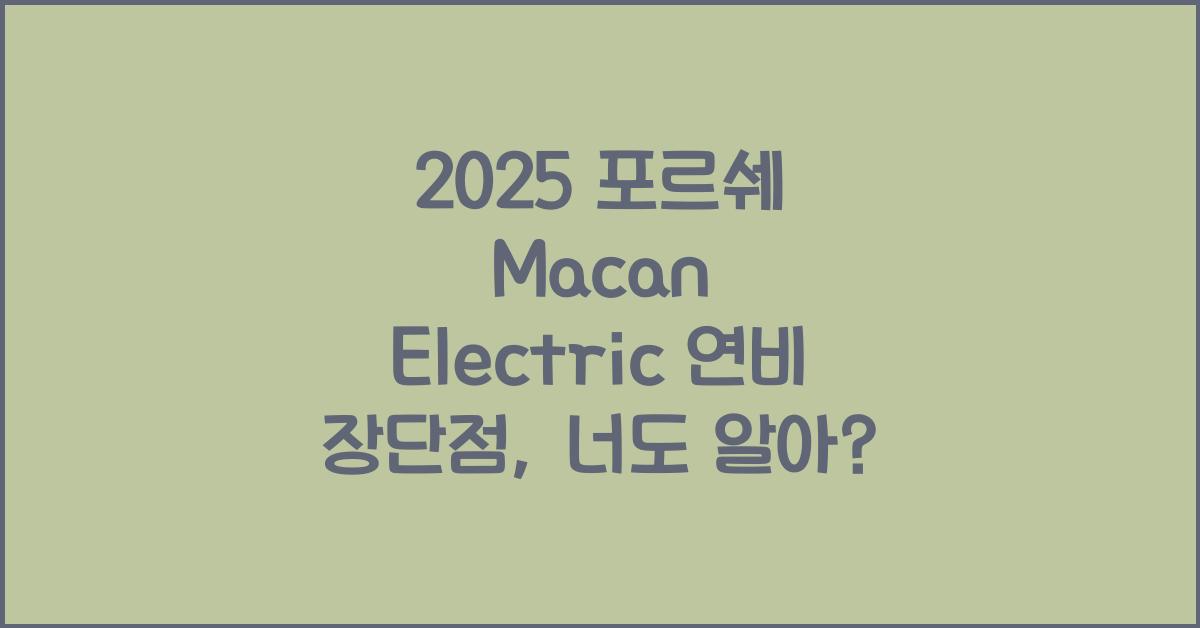 2025 포르쉐 Macan Electric 연비 장단점
